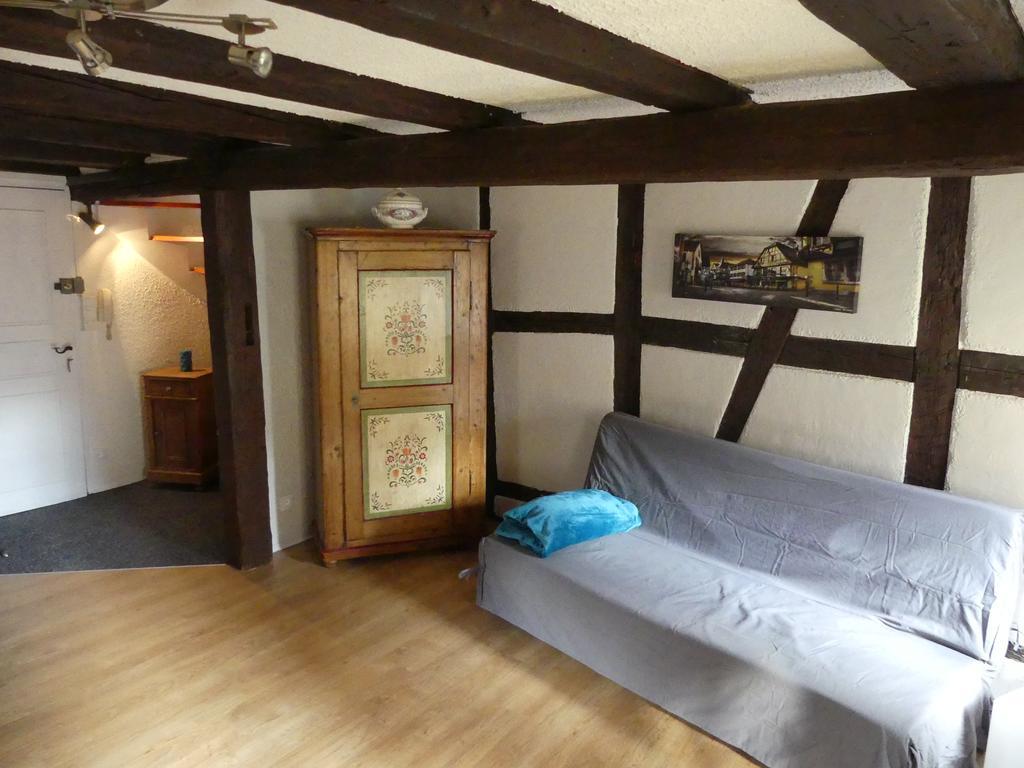 Appart Chaleureux Colmar Bagian luar foto