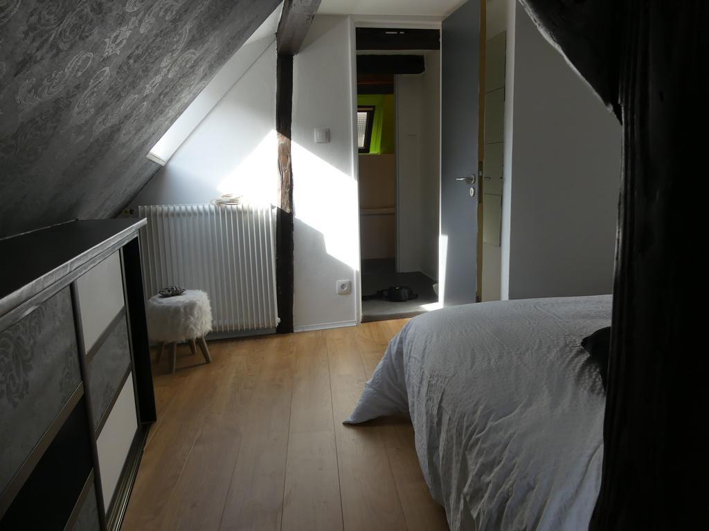 Appart Chaleureux Colmar Bagian luar foto