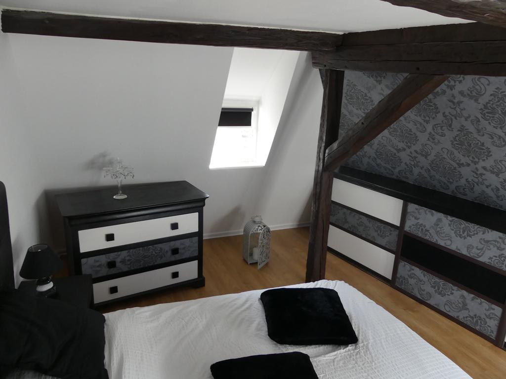 Appart Chaleureux Colmar Bagian luar foto