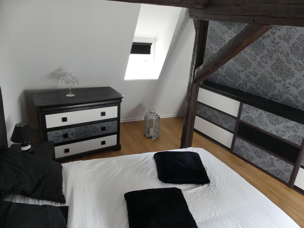 Appart Chaleureux Colmar Bagian luar foto